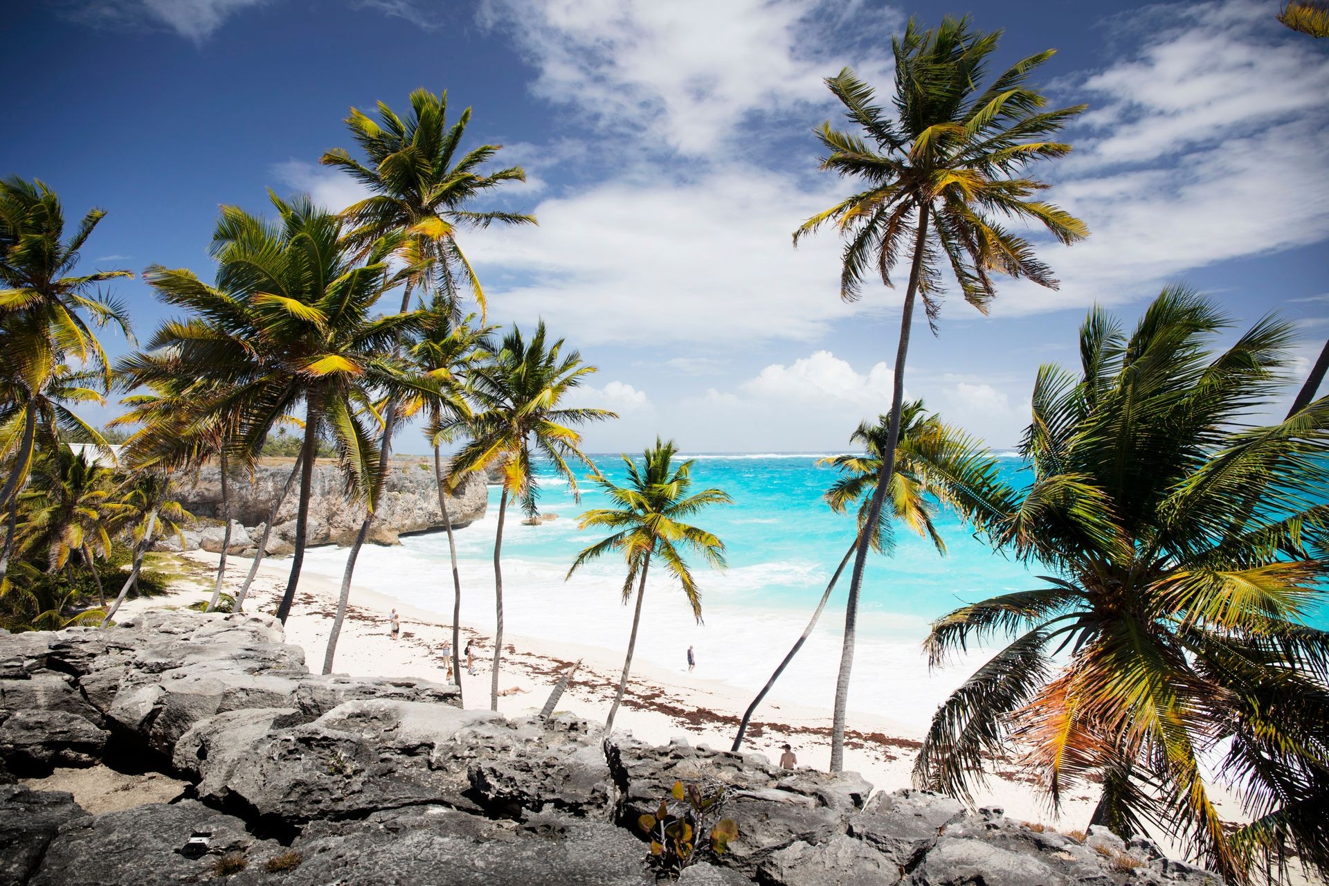 Summer vacations. Palm trees. Turquoise water. Exotic plants. Sunny blue sky. Beautiful white-sand beach.
Travel agency background. Summer vacations. Palm trees. Turquoise water. Exotic plants. Sunny blue sky. Beautiful white-sand beach.
Travel agency background.